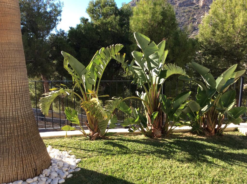 Olivos Holiday Home Altea Room photo